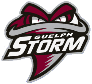 Guelph Storm 2018-Pres Alternate Logo iron on transfers for T-shirts